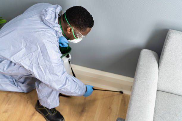 Best Pest Control for Multi-Family Homes  in Velda City, MO